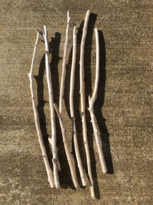 Lot de 6 branches de bois flotté vue globale recto