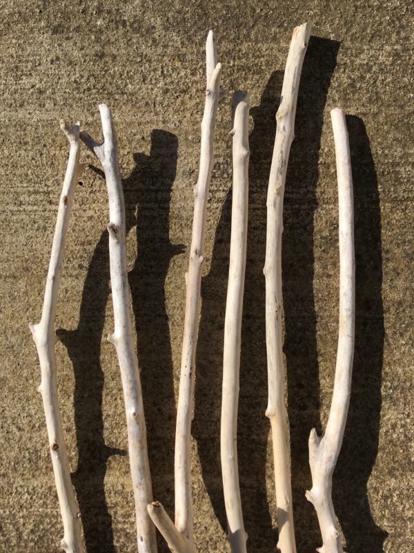 Lot de 6 branches de bois flotté vue haut recto