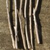 Lot de 6 branches de bois flotté vue bas recto