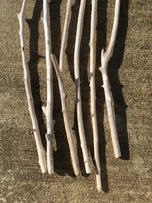 Lot de 6 branches de bois flotté vue bas recto