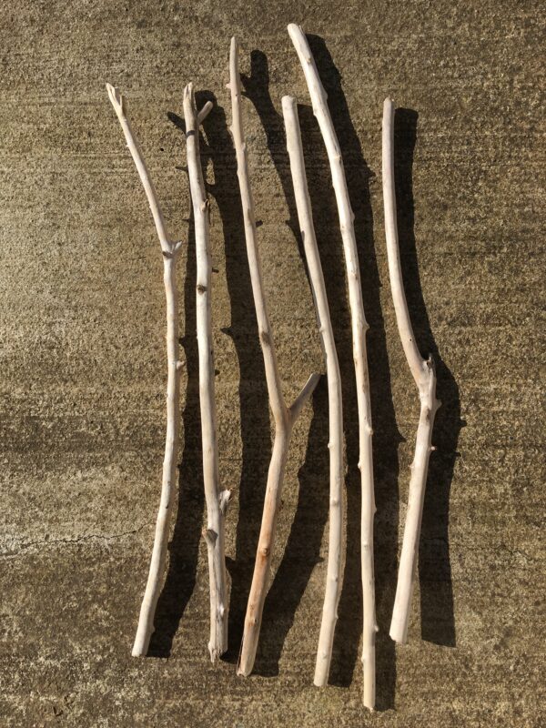Lot de 6 branches de bois flotté vue globale verso