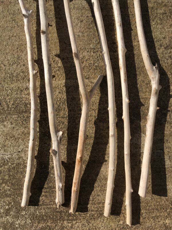 Lot de 6 branches de bois flotté vue bas verso