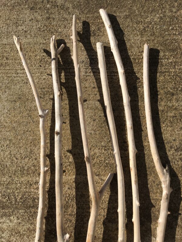 Lot de 6 branches de bois flotté vue haut verso