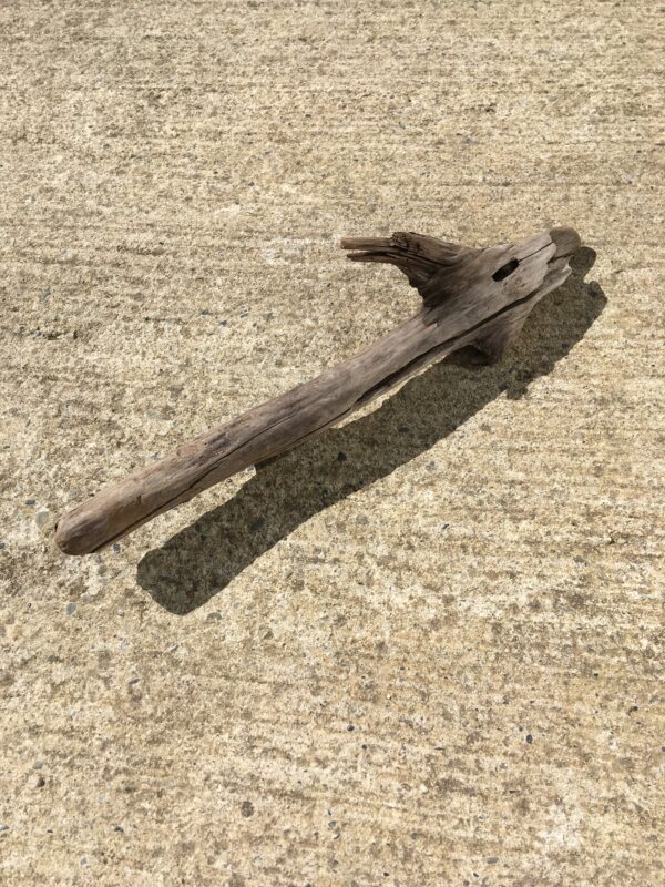 Bois flotté brut vue 1