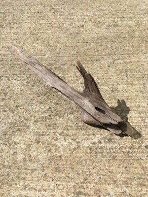 Bois flotté brut vue 2