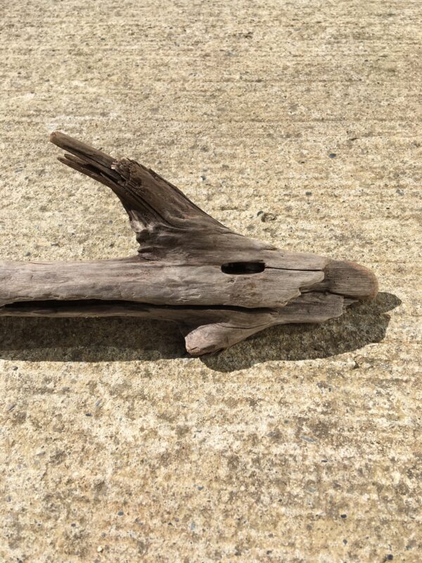 Bois flotté brut vue 3