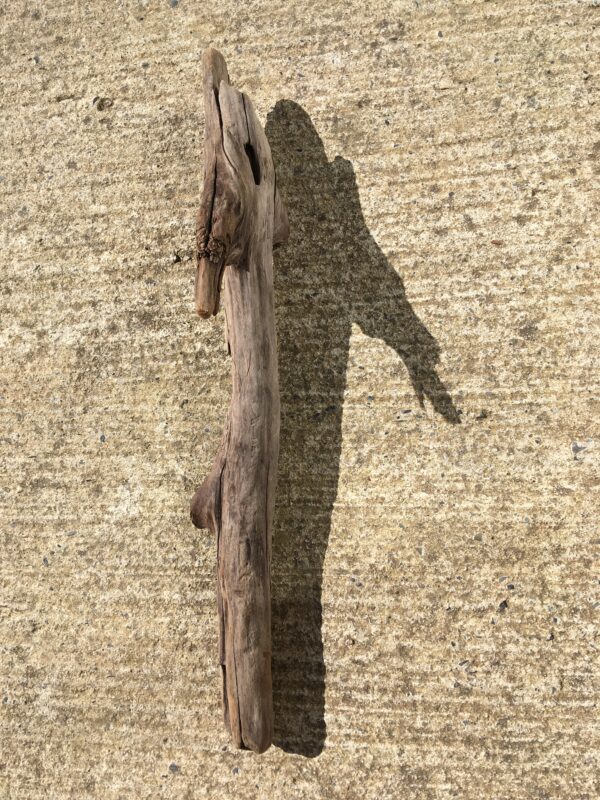 Bois flotté brut vue 8