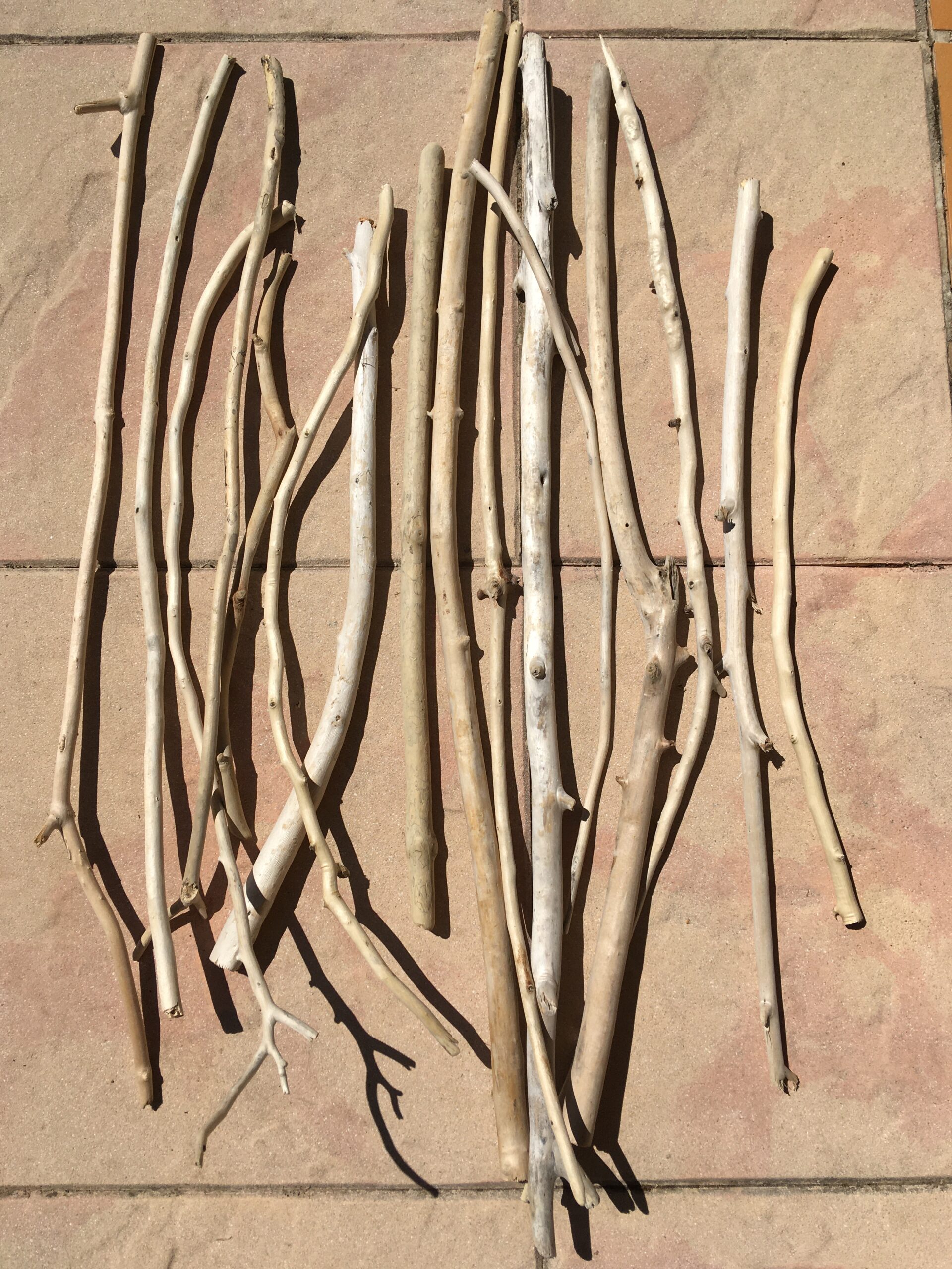 Branches de bois flotté brut et naturel