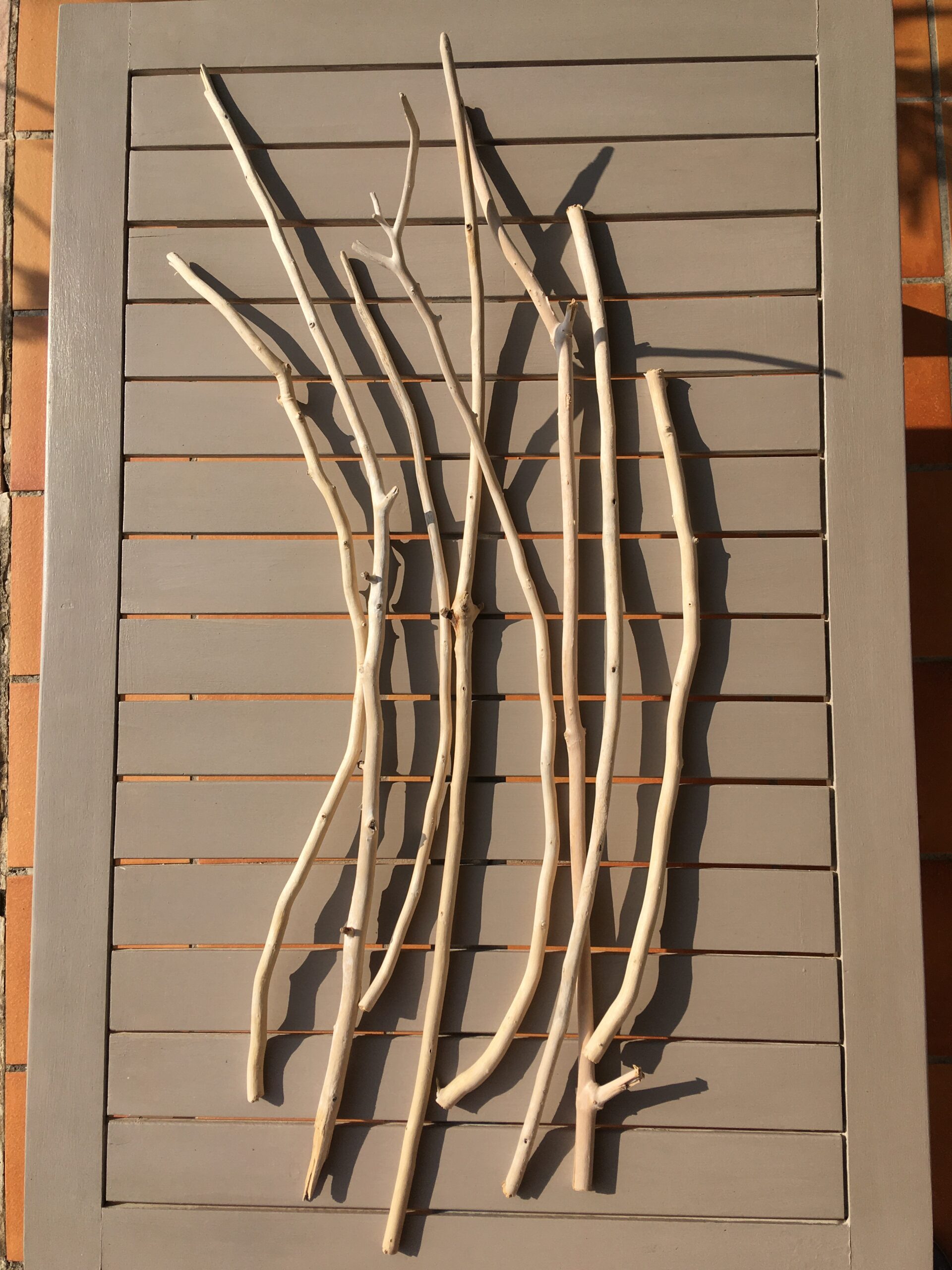 Branches de bois flotté brut et naturel