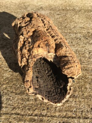 Ecorce bois flotté brut vue 1