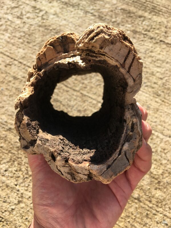 Ecorce bois flotté brut vue 2