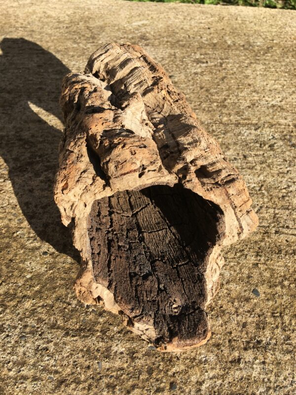 Ecorce bois flotté brut vue 3