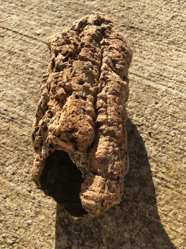 Ecorce bois flotté brut vue 4