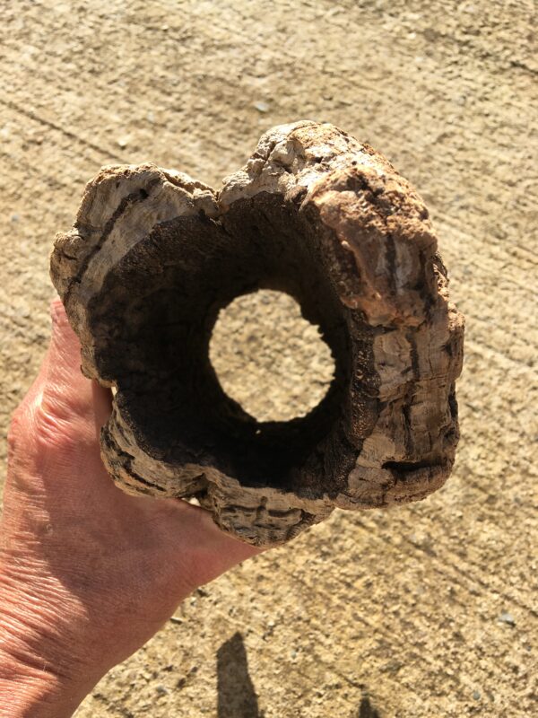 Ecorce bois flotté brut vue 5