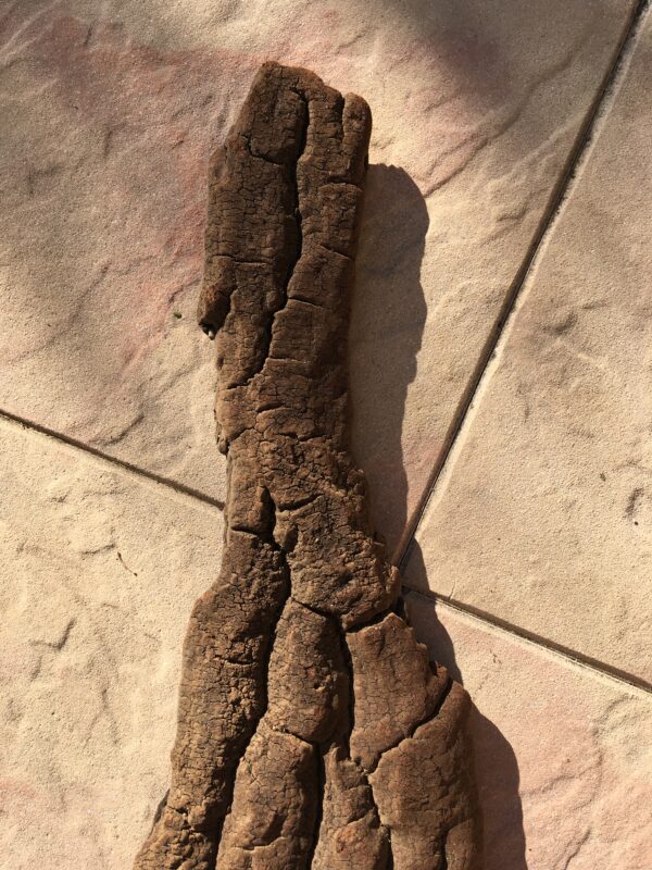 Grande écorce de bois flotté naturel vue 2