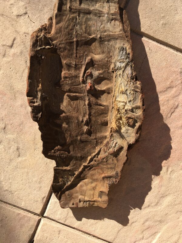 Grande écorce de bois flotté naturel vue 3