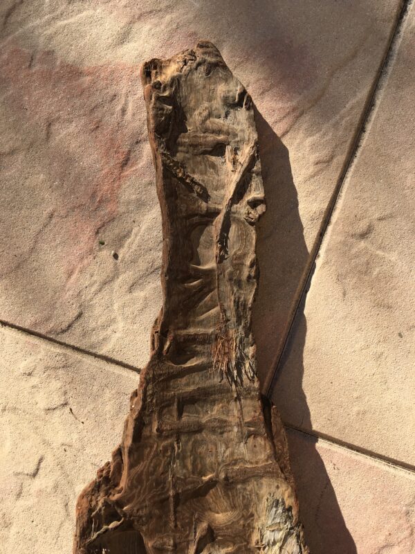 Grande écorce de bois flotté naturel vue 4