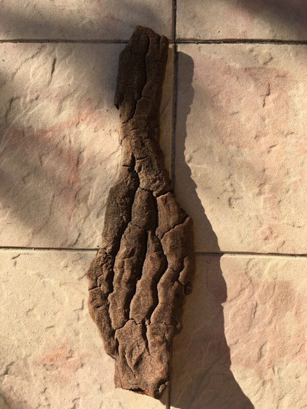 Grande écorce de bois flotté naturel vue 5