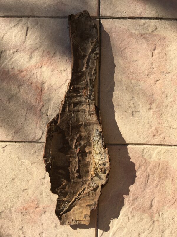 Grande écorce de bois flotté naturel vue 6