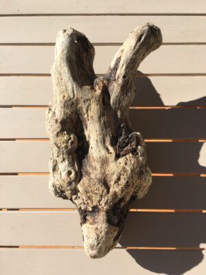 Racine de bois flotté naturel vue 1