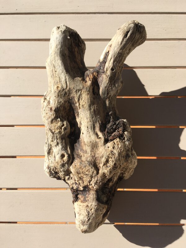 racine-bois-flotte-005-1 Racine de bois flotté naturel vue 1