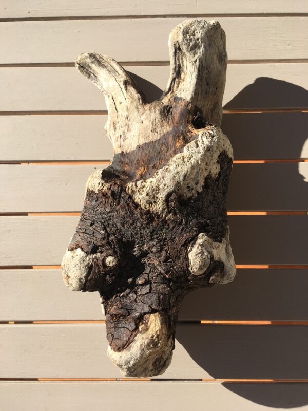 racine-bois-flotte-005-2 Racine de bois flotté naturel vue 2