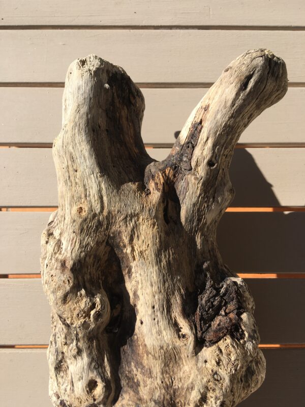 racine-bois-flotte-005-3 Racine de bois flotté naturel vue 3