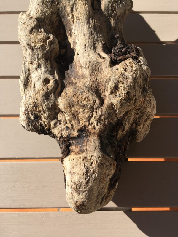 racine-bois-flotte-005-4 Racine de bois flotté naturel vue 4