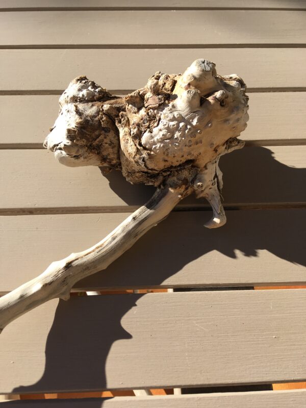 Racine de bois flotté naturelle vue 5