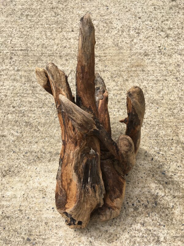 souche-bois-flotte-006-3 Souche de bois flotté brut vue 3