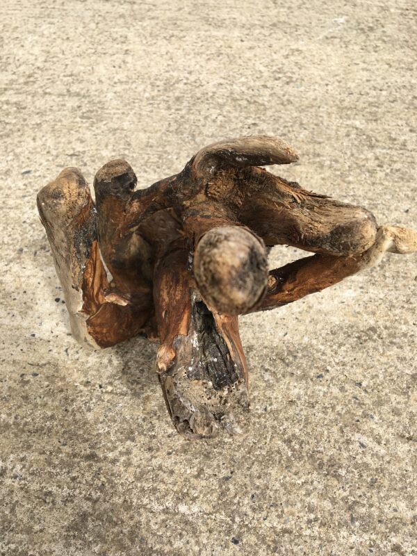 souche-bois-flotte-006-4 Souche de bois flotté brut vue 4