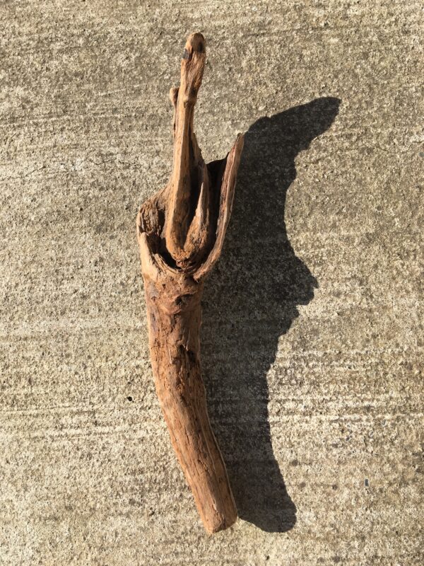 Grande branche de bois flotté en forme de totem vue 1