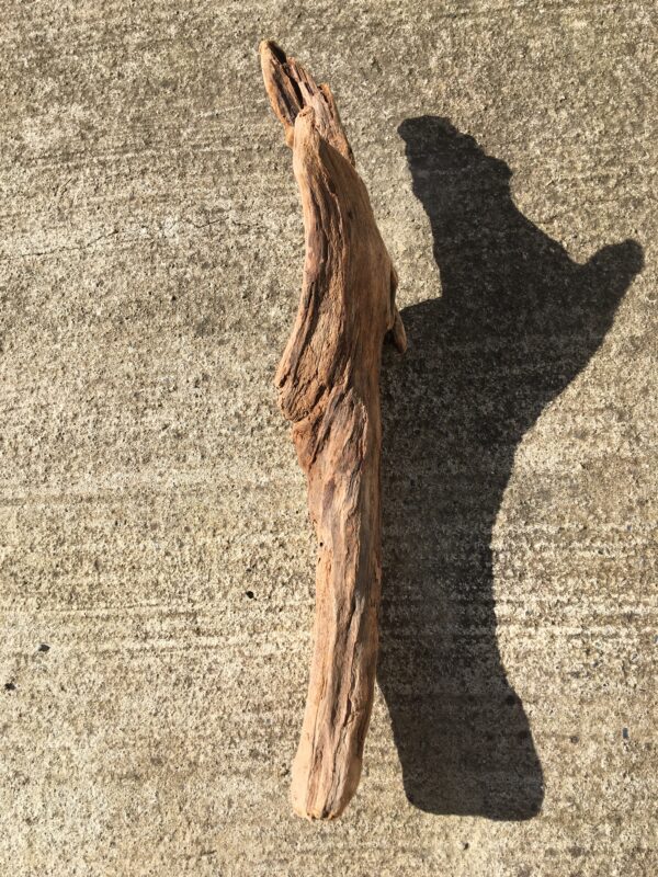 Grande branche de bois flotté en forme de totem vue 2