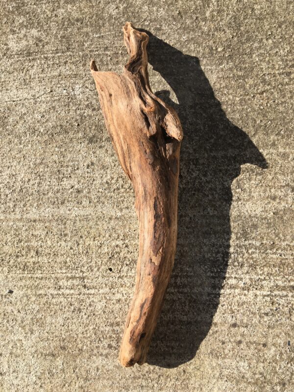 Grande branche de bois flotté en forme de totem vue 3