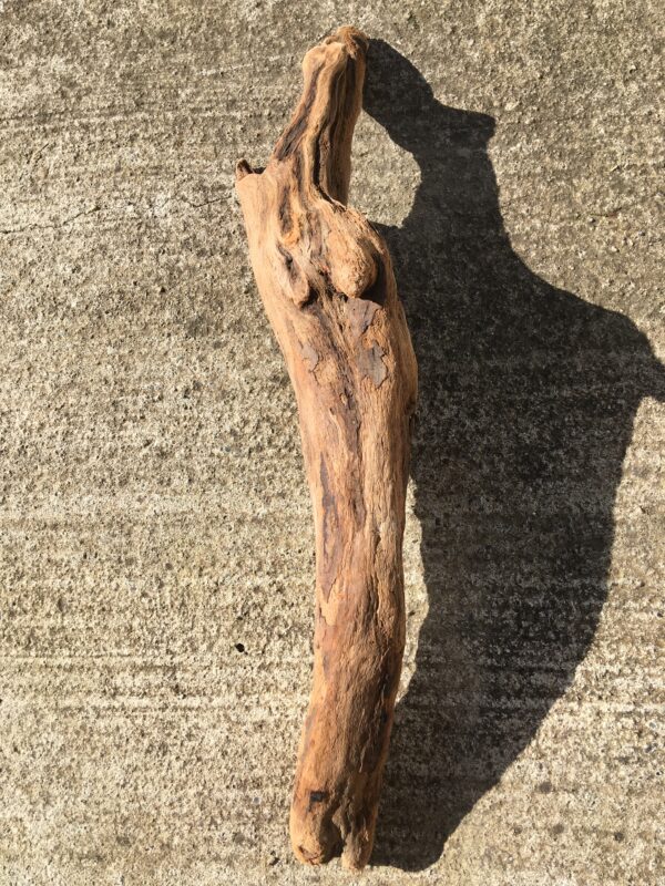 Grande branche de bois flotté en forme de totem vue 4