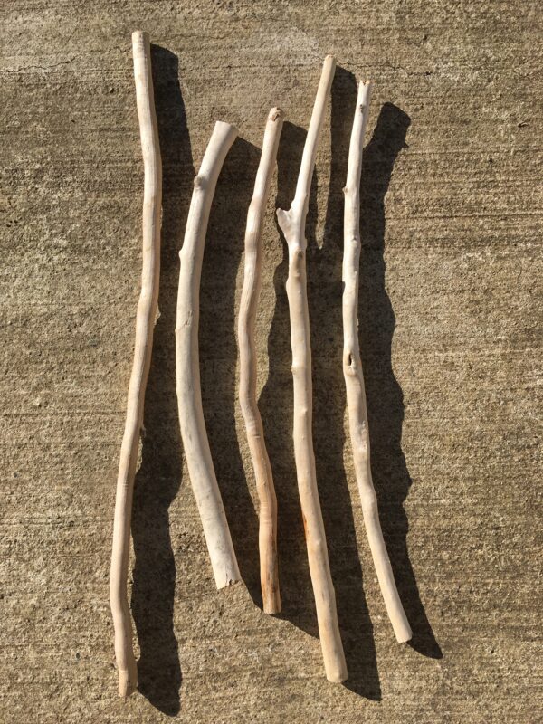 Lot de 5 branches épaisses de bois flotté vue 1