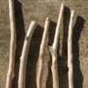 Lot de 5 branches épaisses de bois flotté vue 2