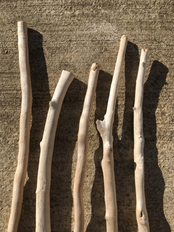 Lot de 5 branches épaisses de bois flotté vue 2