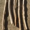 Lot de 5 branches épaisses de bois flotté vue 3