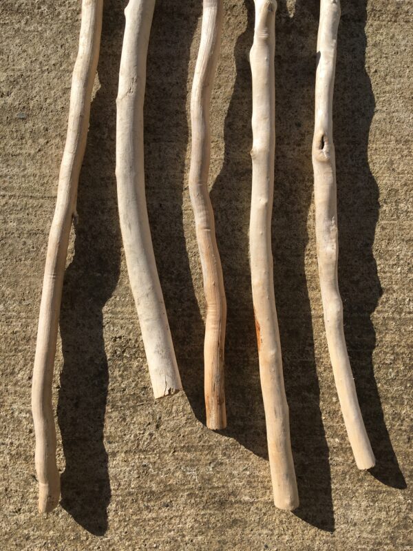Lot de 5 branches épaisses de bois flotté vue 3
