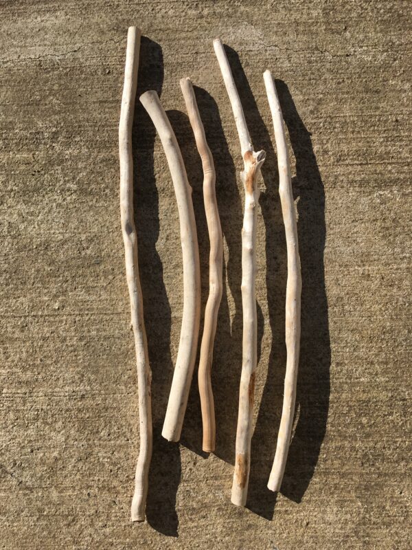 Lot de 5 branches épaisses de bois flotté vue 4