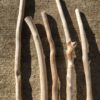 Lot de 5 branches épaisses de bois flotté vue 5
