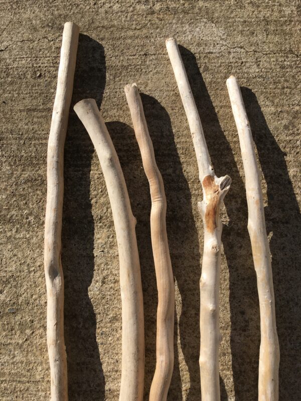 Lot de 5 branches épaisses de bois flotté vue 5