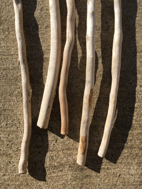 Lot de 5 branches épaisses de bois flotté vue 6