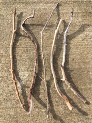 Branches torsadées de bois flotté vue 1