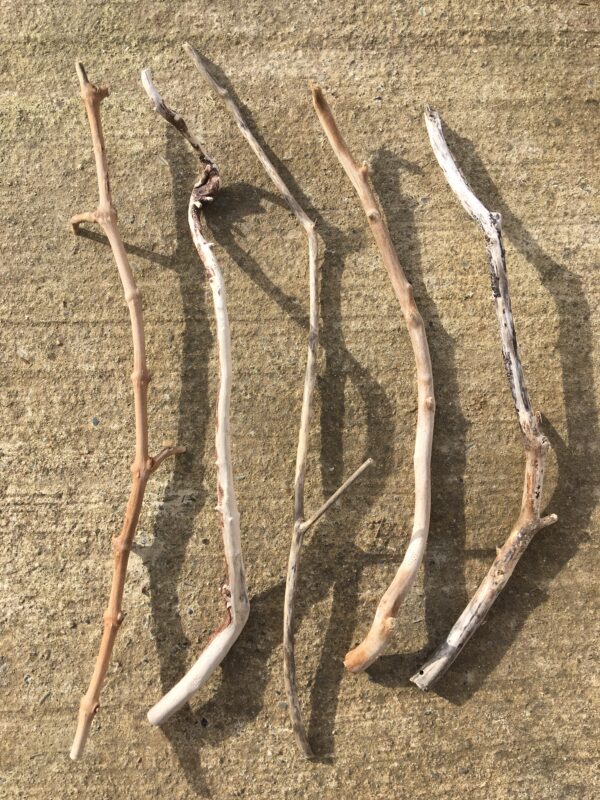 Branches torsadées de bois flotté vue 2