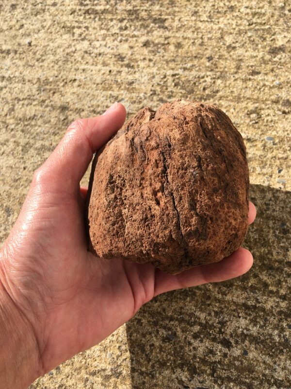 Souche de bois flotté forme sphère vue 2