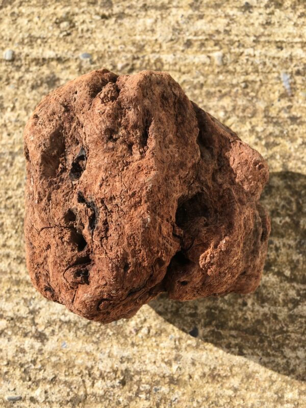 Souche de bois flotté forme boule vue 3