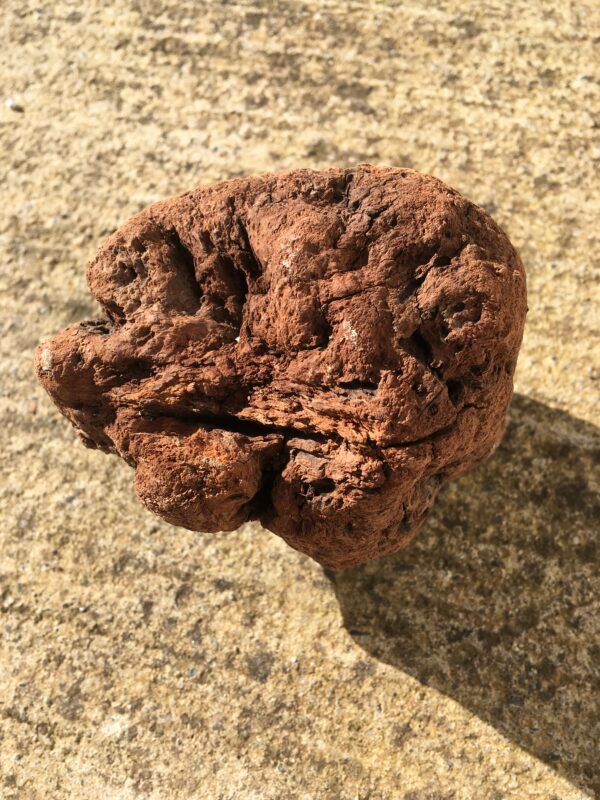 Souche de bois flotté en forme de balle vue 4