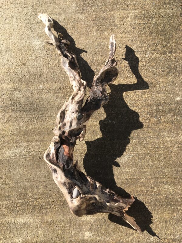 Grande branche torsadée de bois flotté vue 1